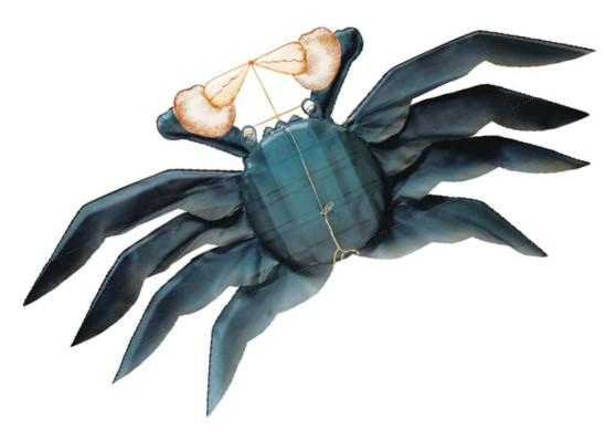 Иллюстрация к книге — Воздушные змеи [i_076.jpg]