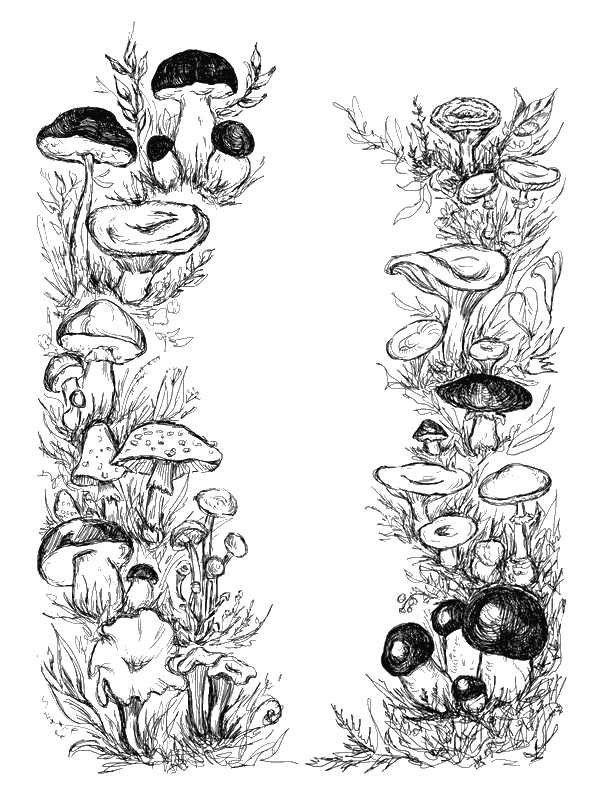 Иллюстрация к книге — Кикимора Светка Пипеткина [i_005.jpg]