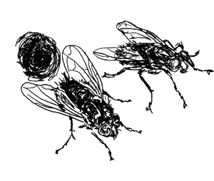 Иллюстрация к книге — Кикимора Светка Пипеткина [i_010.jpg]