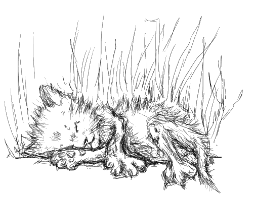 Иллюстрация к книге — Кикимора Светка Пипеткина [i_012.jpg]