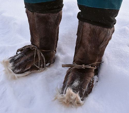 Иллюстрация к книге — Сибирь научит. Как финский журналист прожил со своей семьей год в Якутии [i_012.jpg]