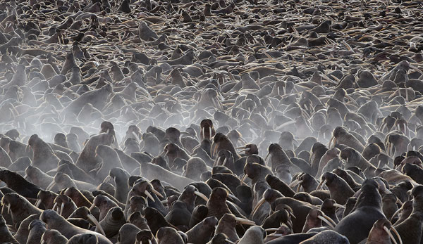 Иллюстрация к книге — Сибирь научит. Как финский журналист прожил со своей семьей год в Якутии [i_018.jpg]