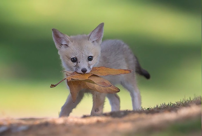 Иллюстрация к книге — Из двух зол [_001.jpg]