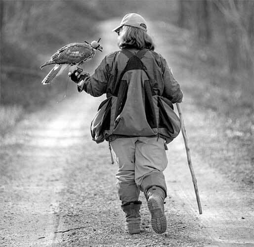 Иллюстрация к книге — Наш дикий зов. Как общение с животными может спасти их и изменить нашу жизнь [i_004.jpg]