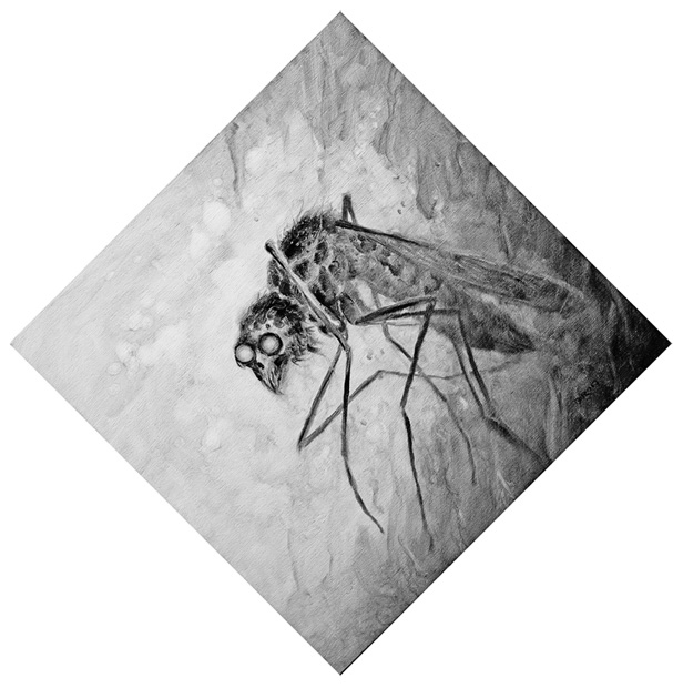 Иллюстрация к книге — Косиног. История о колдовстве [i_017.jpg]