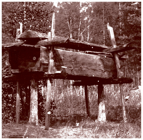 Иллюстрация к книге — Славянские мифы. От Велеса и Мокоши до птицы Сирин и Ивана Купалы [i_040.jpg]