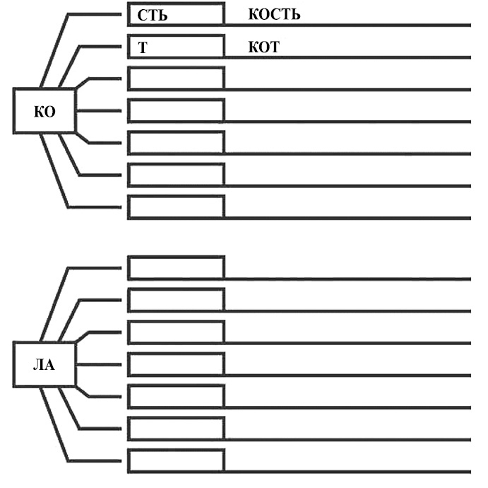 Иллюстрация к книге — Деменция. Книга в помощь вам и вашим родным [i_026.jpg]