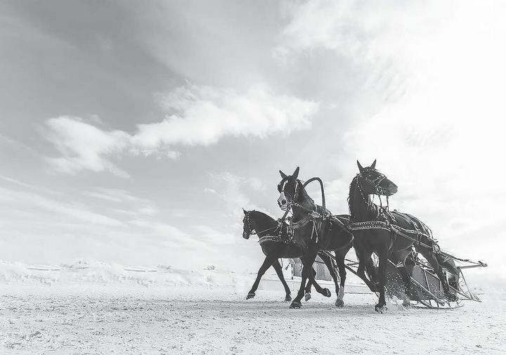 Иллюстрация к книге — История почты. От голубиной до электронной [i_055.jpg]