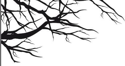 Иллюстрация к книге — Песнь призрачного леса [i_011.jpg]