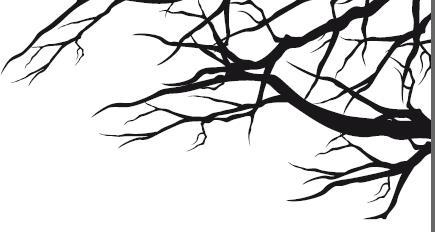 Иллюстрация к книге — Песнь призрачного леса [i_026.jpg]