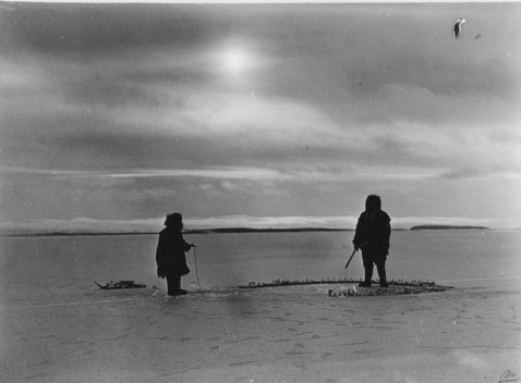 Иллюстрация к книге — Белый эскимос [i_022.jpg]