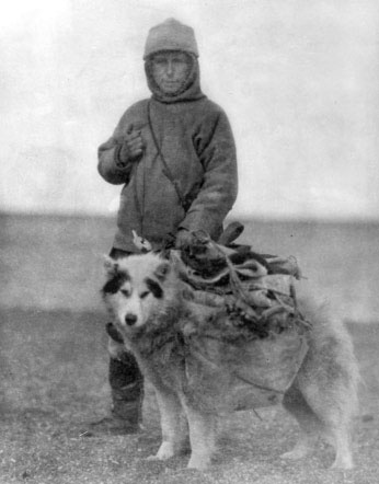 Иллюстрация к книге — Белый эскимос [i_038.jpg]