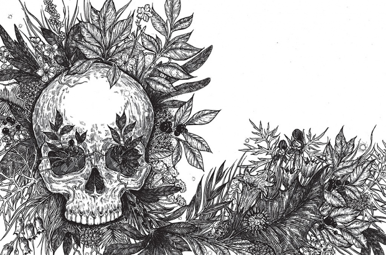 Иллюстрация к книге — Яды: вокруг и внутри. Путеводитель по самым опасным веществам на планете [i_003.jpg]