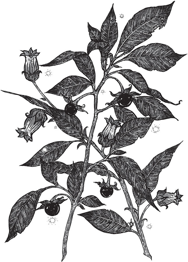 Иллюстрация к книге — Яды: вокруг и внутри. Путеводитель по самым опасным веществам на планете [i_006.jpg]