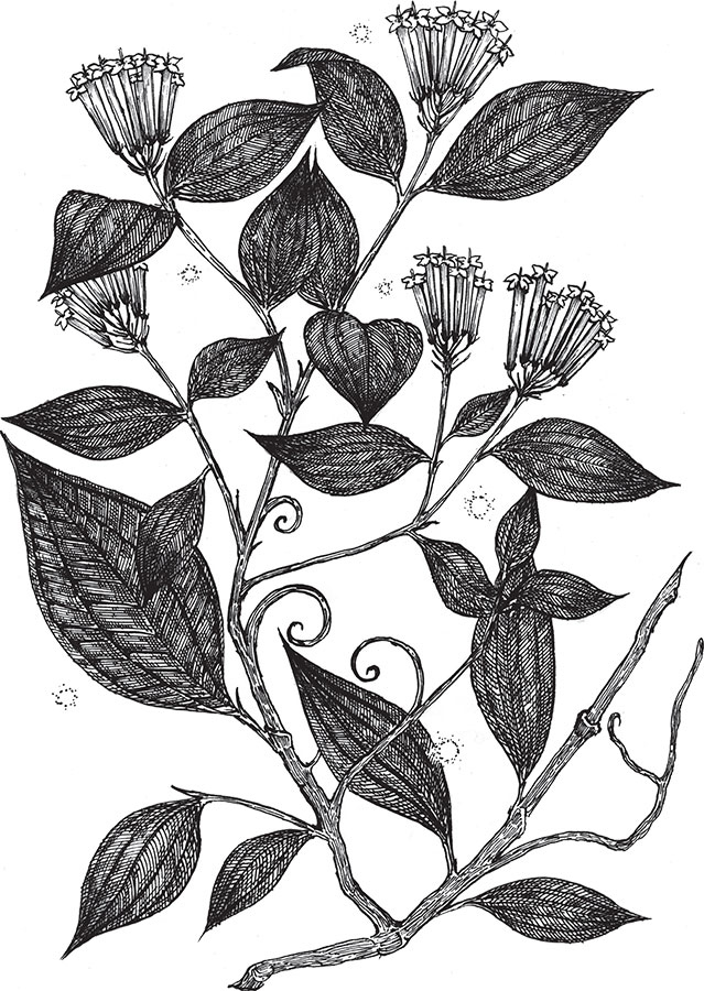 Иллюстрация к книге — Яды: вокруг и внутри. Путеводитель по самым опасным веществам на планете [i_009.jpg]