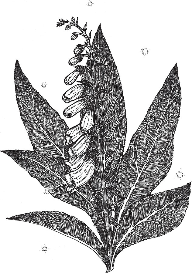 Иллюстрация к книге — Яды: вокруг и внутри. Путеводитель по самым опасным веществам на планете [i_013.jpg]