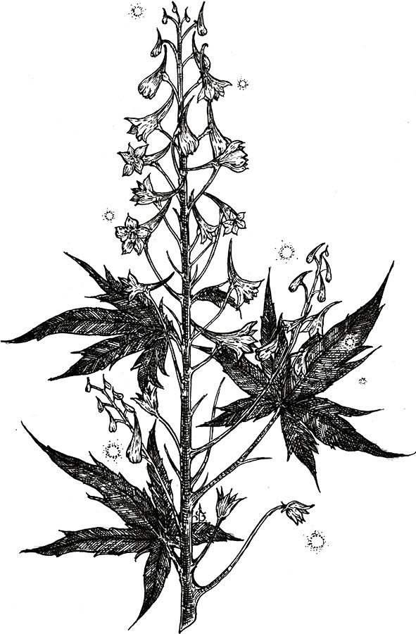 Иллюстрация к книге — Яды: вокруг и внутри. Путеводитель по самым опасным веществам на планете [i_023.jpg]