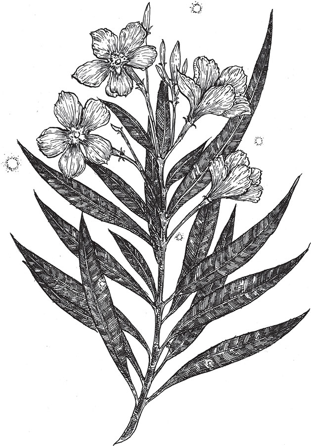 Иллюстрация к книге — Яды: вокруг и внутри. Путеводитель по самым опасным веществам на планете [i_025.jpg]