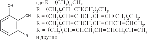 Иллюстрация к книге — Яды: вокруг и внутри. Путеводитель по самым опасным веществам на планете [i_028.jpg]