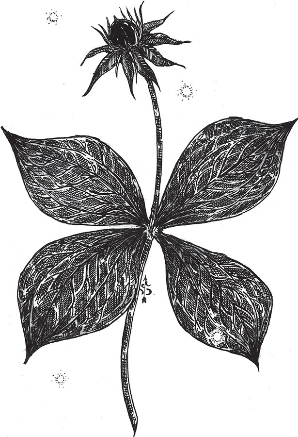 Иллюстрация к книге — Яды: вокруг и внутри. Путеводитель по самым опасным веществам на планете [i_029.jpg]