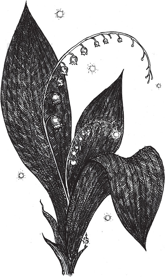 Иллюстрация к книге — Яды: вокруг и внутри. Путеводитель по самым опасным веществам на планете [i_030.jpg]