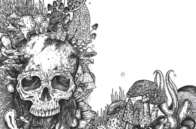 Иллюстрация к книге — Яды: вокруг и внутри. Путеводитель по самым опасным веществам на планете [i_038.jpg]