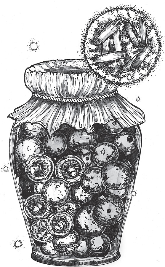 Иллюстрация к книге — Яды: вокруг и внутри. Путеводитель по самым опасным веществам на планете [i_052.jpg]