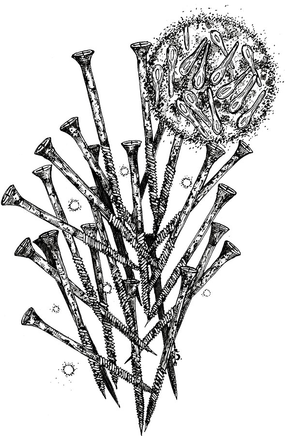 Иллюстрация к книге — Яды: вокруг и внутри. Путеводитель по самым опасным веществам на планете [i_055.jpg]