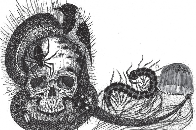 Иллюстрация к книге — Яды: вокруг и внутри. Путеводитель по самым опасным веществам на планете [i_058.jpg]