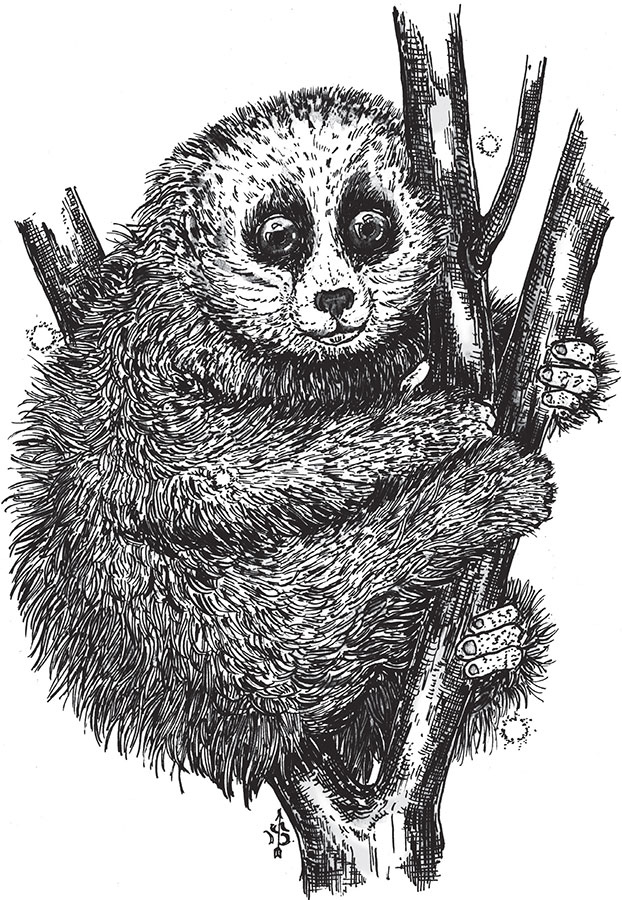 Иллюстрация к книге — Яды: вокруг и внутри. Путеводитель по самым опасным веществам на планете [i_059.jpg]