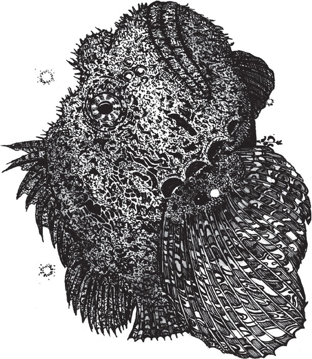 Иллюстрация к книге — Яды: вокруг и внутри. Путеводитель по самым опасным веществам на планете [i_060.jpg]