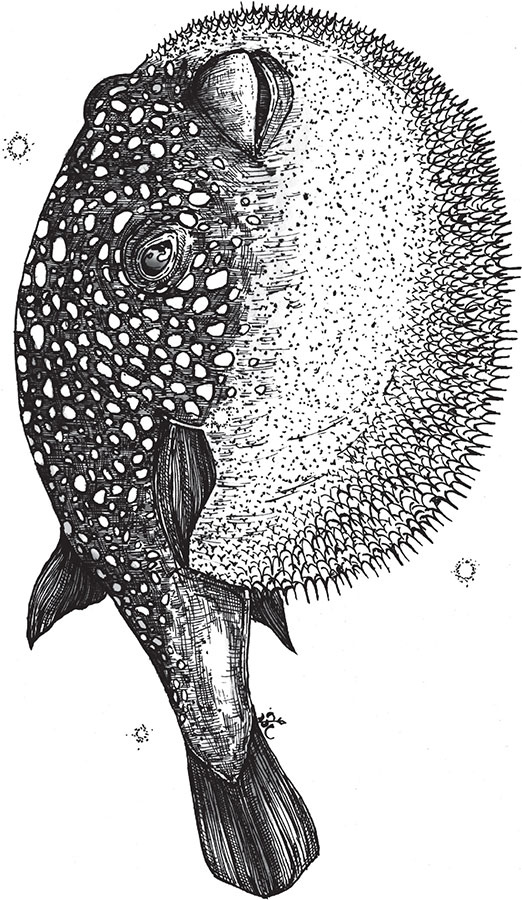 Иллюстрация к книге — Яды: вокруг и внутри. Путеводитель по самым опасным веществам на планете [i_061.jpg]