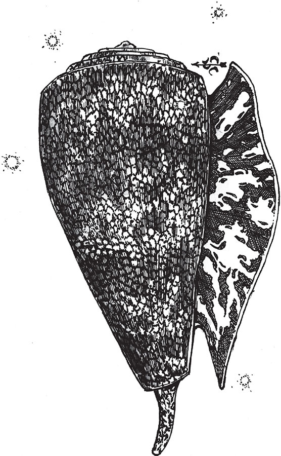Иллюстрация к книге — Яды: вокруг и внутри. Путеводитель по самым опасным веществам на планете [i_063.jpg]