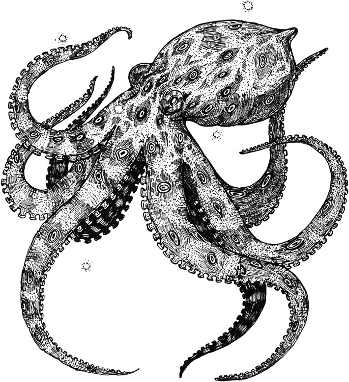 Иллюстрация к книге — Яды: вокруг и внутри. Путеводитель по самым опасным веществам на планете [i_064.jpg]