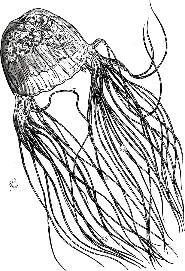 Иллюстрация к книге — Яды: вокруг и внутри. Путеводитель по самым опасным веществам на планете [i_065.jpg]