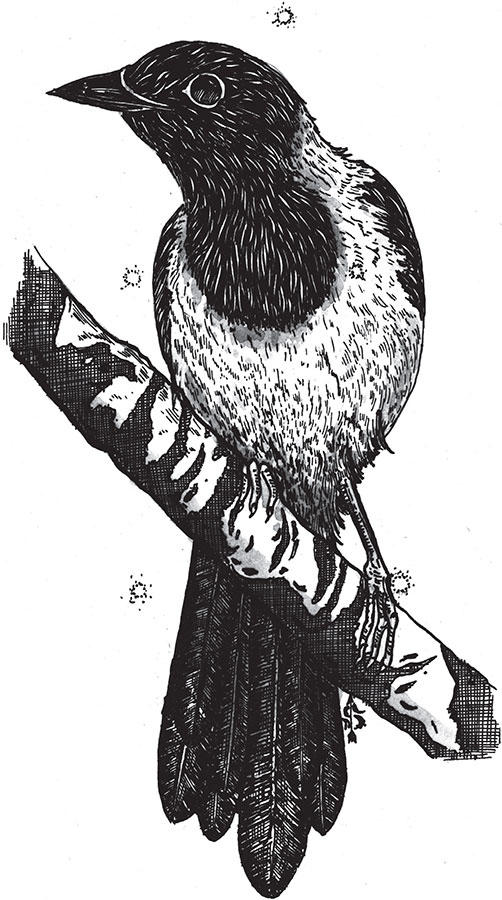 Иллюстрация к книге — Яды: вокруг и внутри. Путеводитель по самым опасным веществам на планете [i_066.jpg]