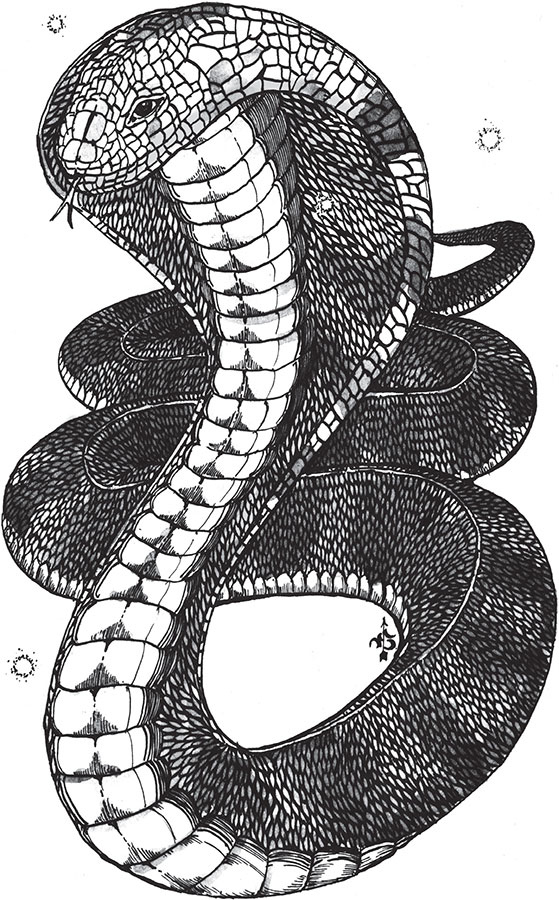 Иллюстрация к книге — Яды: вокруг и внутри. Путеводитель по самым опасным веществам на планете [i_072.jpg]