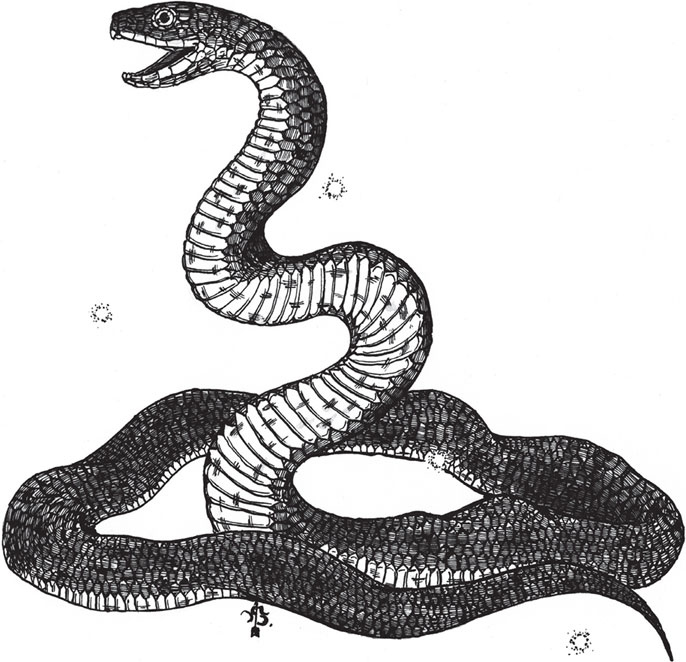 Иллюстрация к книге — Яды: вокруг и внутри. Путеводитель по самым опасным веществам на планете [i_073.jpg]