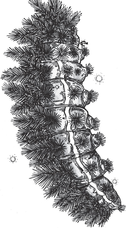 Иллюстрация к книге — Яды: вокруг и внутри. Путеводитель по самым опасным веществам на планете [i_074.jpg]