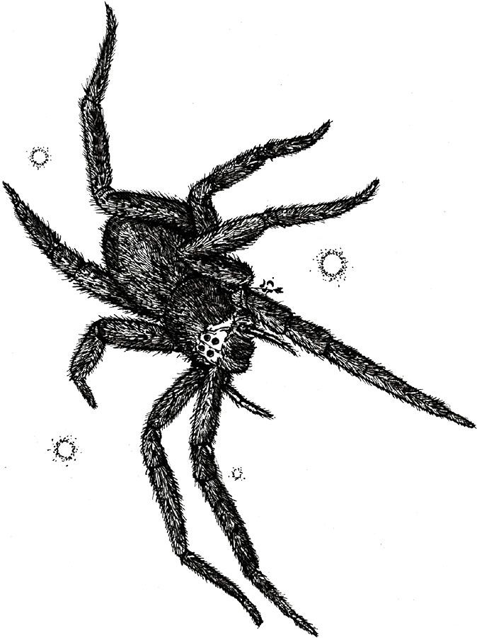 Иллюстрация к книге — Яды: вокруг и внутри. Путеводитель по самым опасным веществам на планете [i_075.jpg]