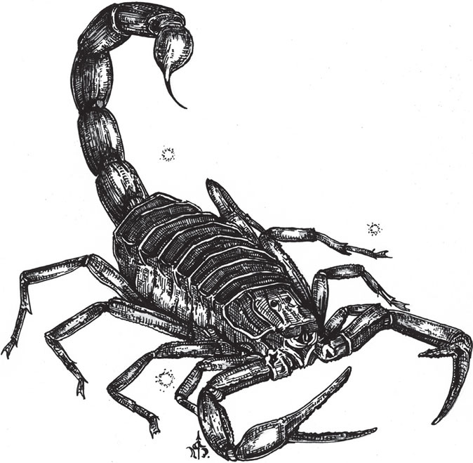 Иллюстрация к книге — Яды: вокруг и внутри. Путеводитель по самым опасным веществам на планете [i_076.jpg]