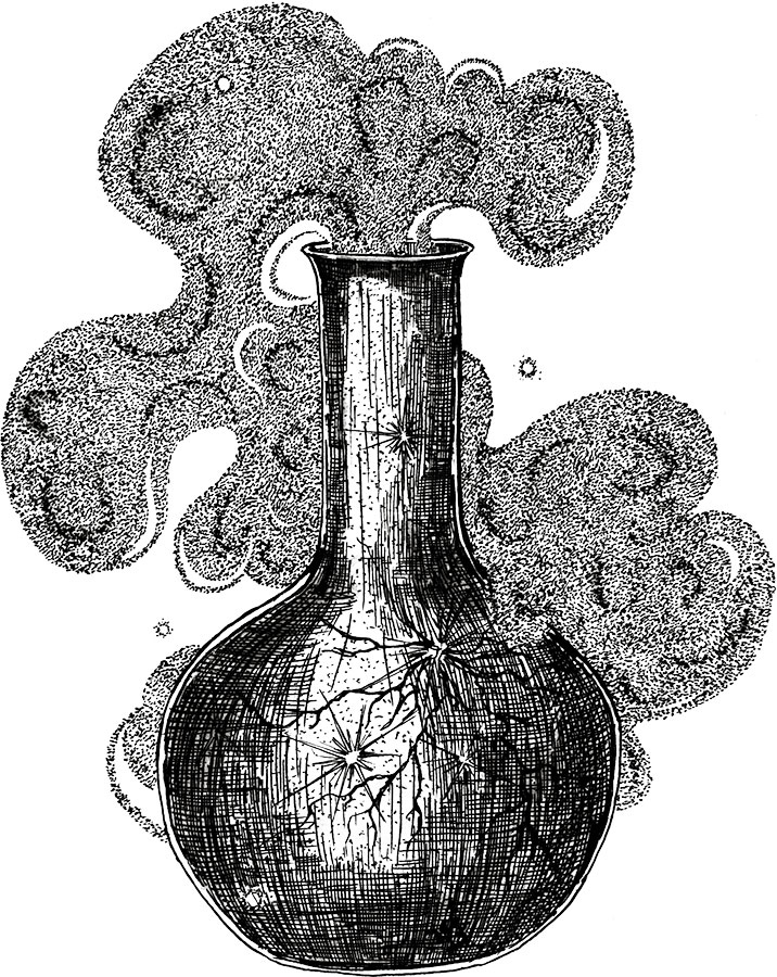 Иллюстрация к книге — Яды: вокруг и внутри. Путеводитель по самым опасным веществам на планете [i_094.jpg]