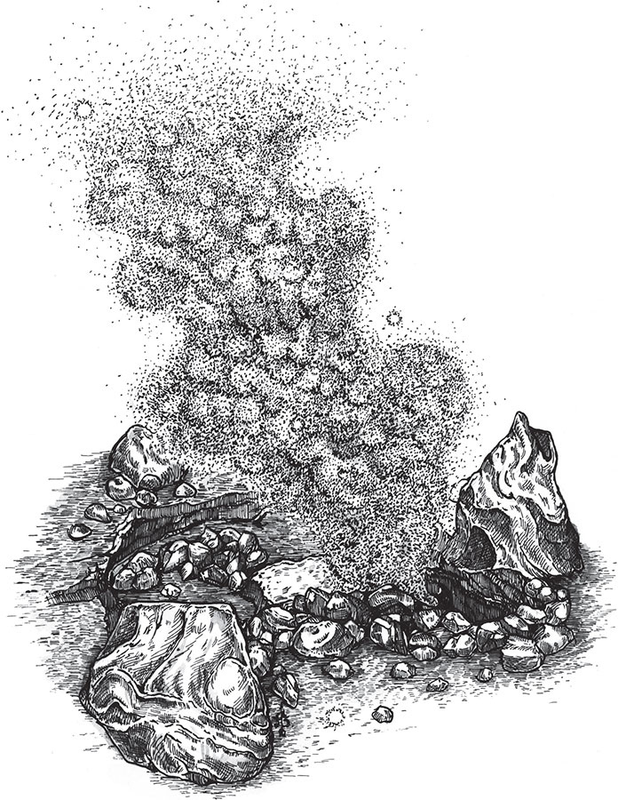 Иллюстрация к книге — Яды: вокруг и внутри. Путеводитель по самым опасным веществам на планете [i_101.jpg]