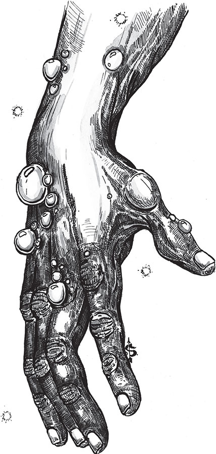 Иллюстрация к книге — Яды: вокруг и внутри. Путеводитель по самым опасным веществам на планете [i_106.jpg]