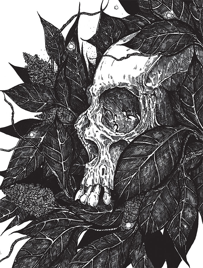 Иллюстрация к книге — Яды: вокруг и внутри. Путеводитель по самым опасным веществам на планете [i_113.jpg]