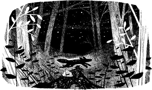 Иллюстрация к книге — Пакс. Дорога домой [i_010.jpg]