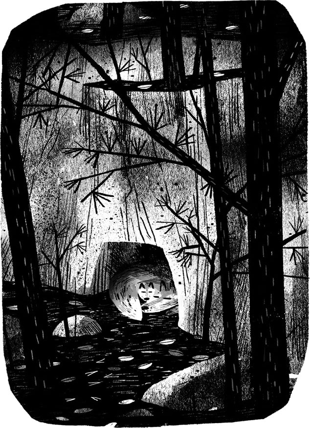 Иллюстрация к книге — Пакс. Дорога домой [i_012.jpg]