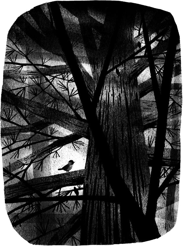 Иллюстрация к книге — Пакс. Дорога домой [i_014.jpg]