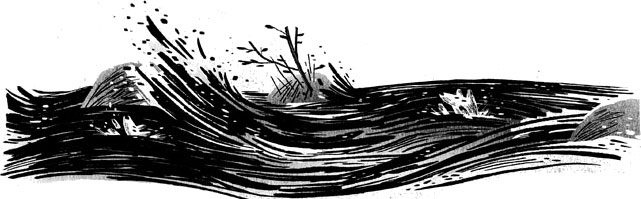 Иллюстрация к книге — Пакс. Дорога домой [i_016.jpg]