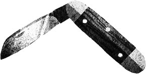 Иллюстрация к книге — Пакс. Дорога домой [i_017.jpg]